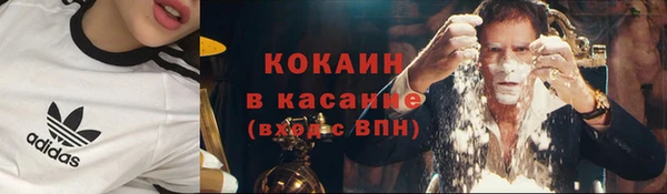 шишки Белоозёрский