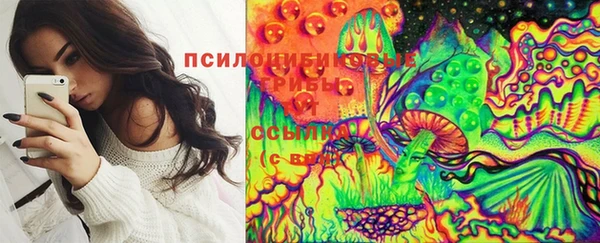 шишки Белоозёрский