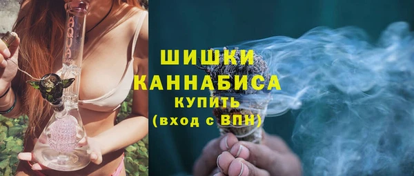 шишки Белоозёрский