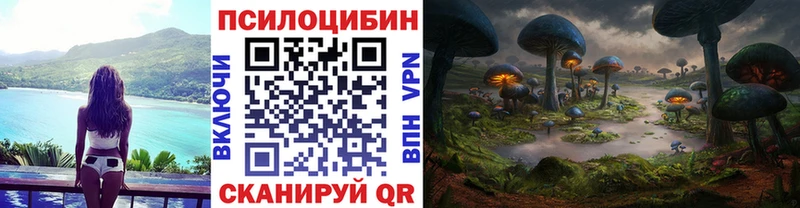 сколько стоит  даркнет как зайти  Галлюциногенные грибы ЛСД  Куровское 